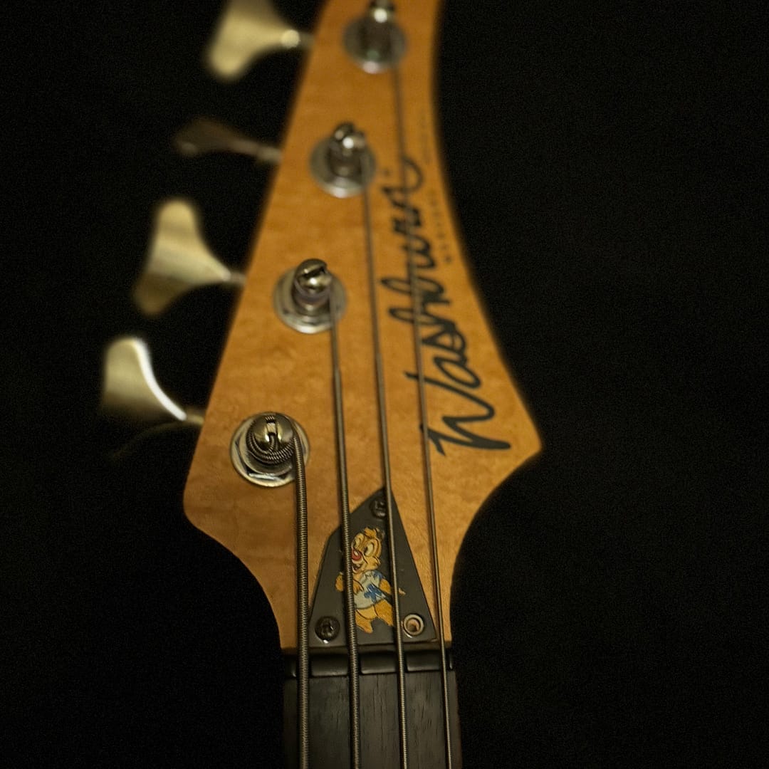 Chipmunk on 1993 Washburn MB-4 Mercury Series, Natural (USA)