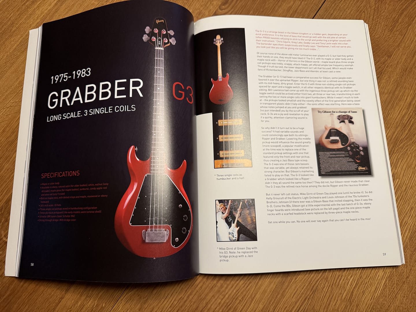 The Gibson Bass Book: An illustrated tribute By Rob van den Broek