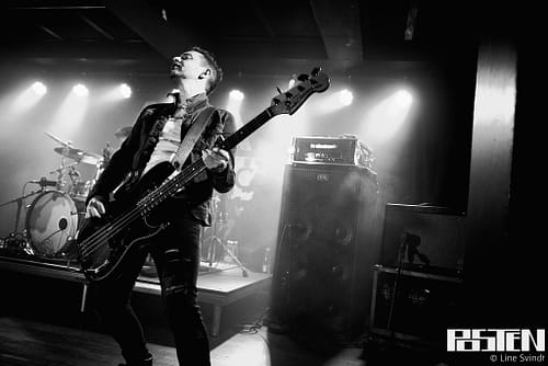 Henrik Bonde Hanfgarn, Bass Stories: More than wood and wires